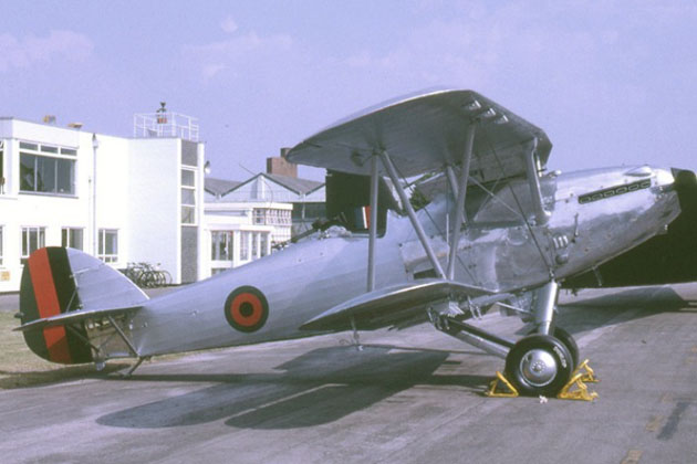 hind